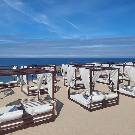 Mostarda Boutique Vila do Conde