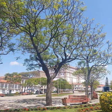 公寓 Mostarda Boutique *